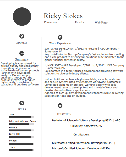 Best Software Developer Resume Format With Eye Catching Examples